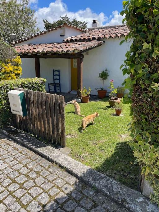 Ocean, Surf, Golf Private Villa With Pool Near Lagoon Casal do Narcizo Eksteriør billede